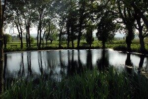 Lago Aiso